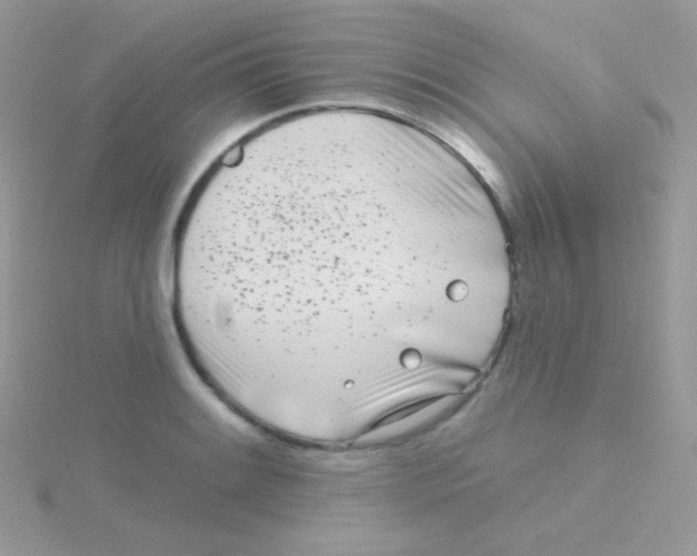 X0000115051084200911231148