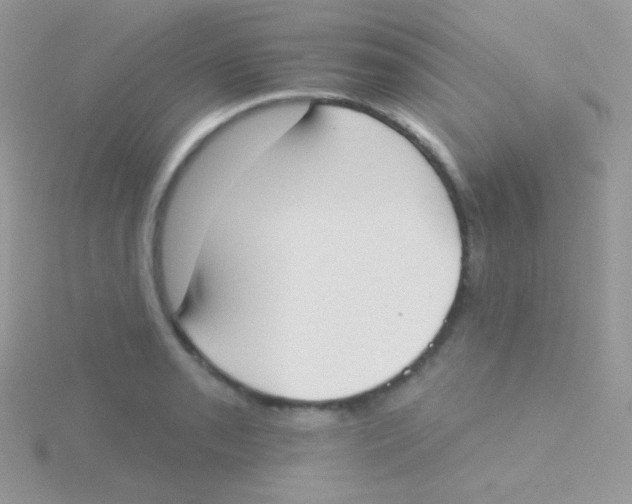 X0000115051085200911231148