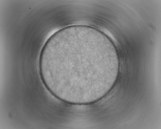 X0000115051087200911231148