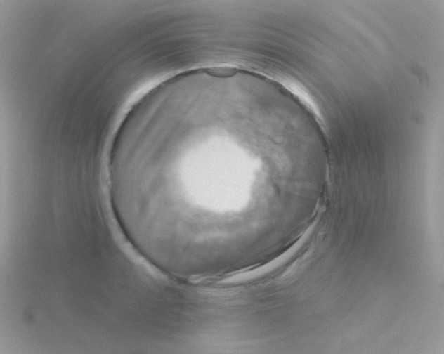 X0000115051088200911231148