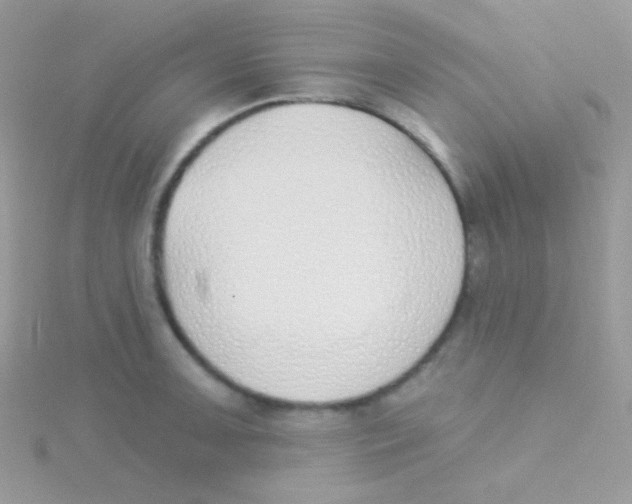 X0000115051091200911231148