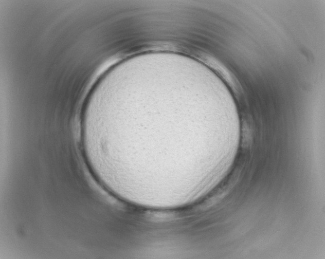 X0000115051095200911231148