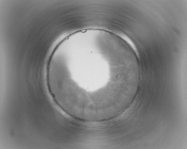 X0000115051096200911231148