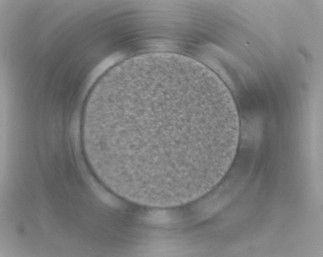 X0000115051098200911231148