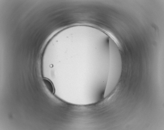 X0000115051100200911231148