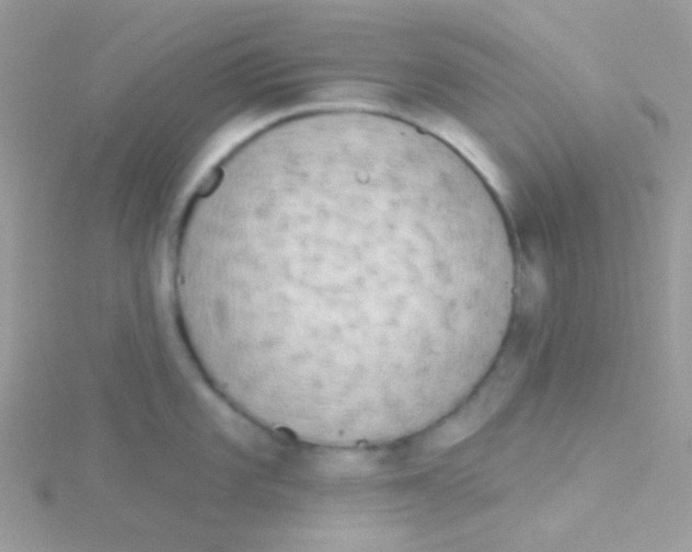 X0000115051101200911231148