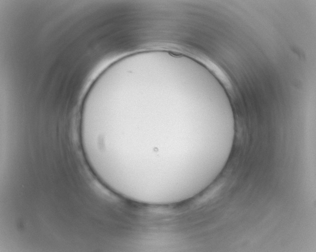 X0000115051102200911231148