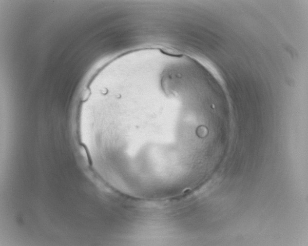 X0000115051104200911231148