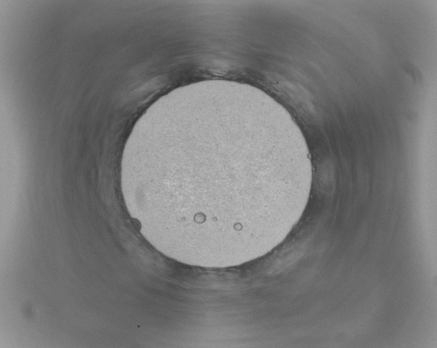 X0000115051105200911231147