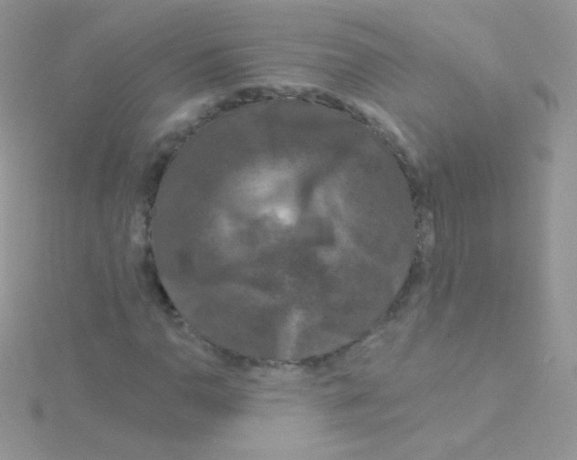 X0000115051110200911231147