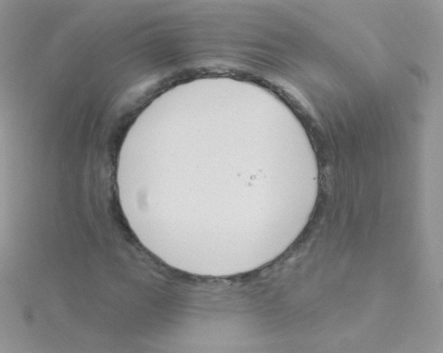 X0000115051111200911231147