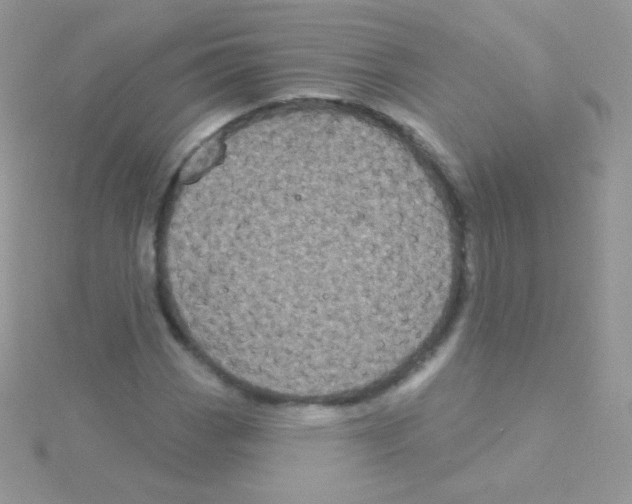 X0000115051113200911231147