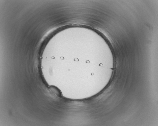 X0000115051115200911231147