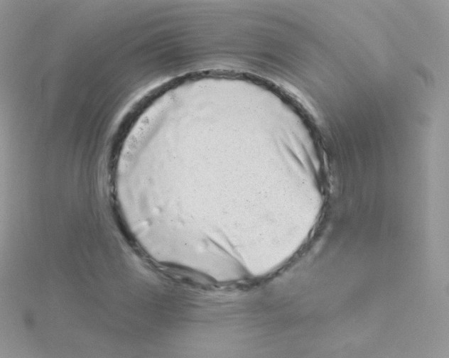 X0000115051117200911231147