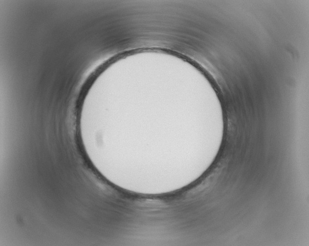 X0000115051119200911231147