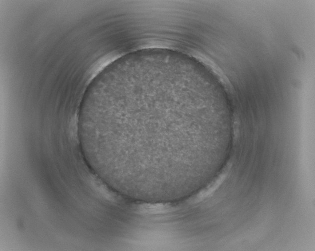 X0000115051121200911231147