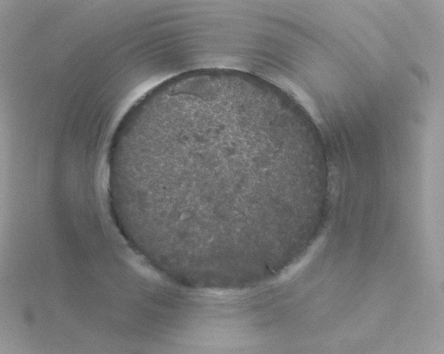 X0000115051125200911231147