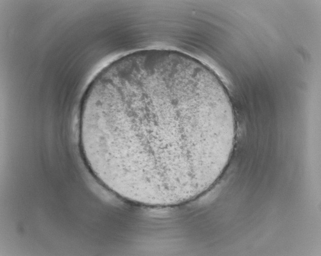 X0000115051126200911231147