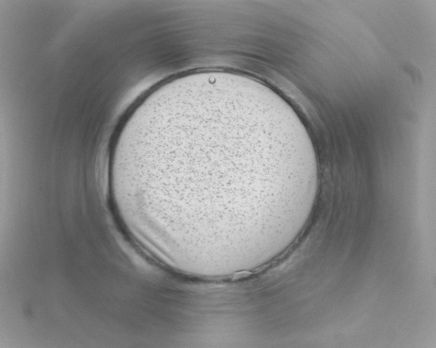 X0000115051127200911231147