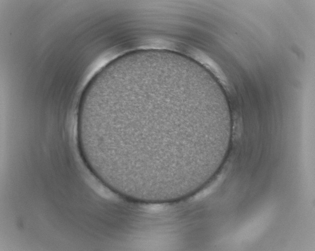 X0000115051130200911231148