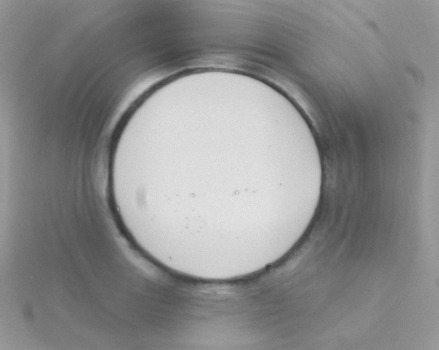 X0000115051131200911231148