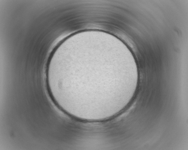 X0000115051133200911231148