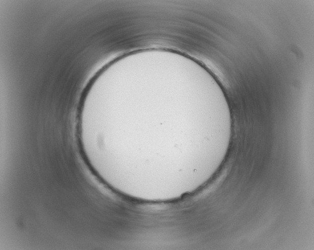 X0000115051134200911231148