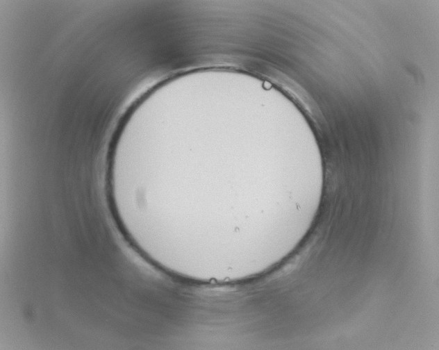 X0000115051135200911231148