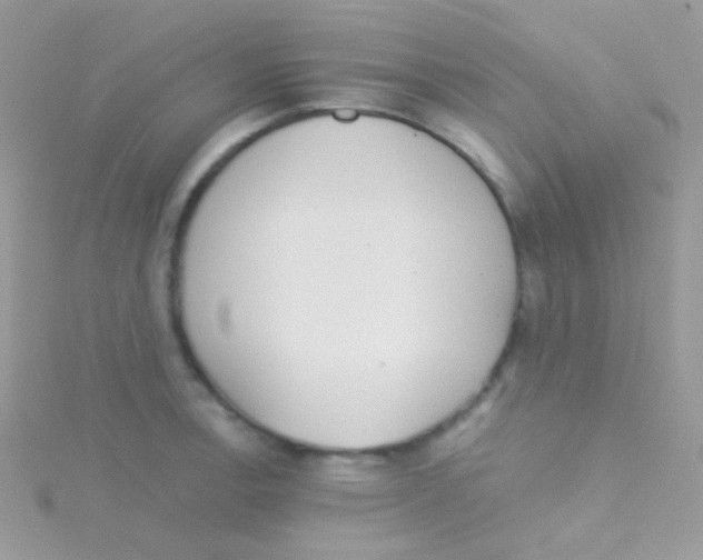 X0000115051138200911231148