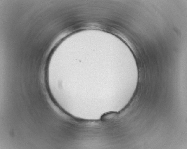 X0000115051139200911231148