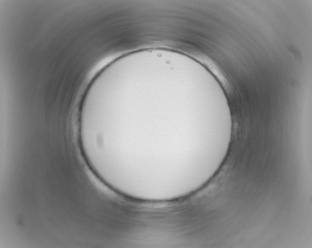 X0000115051143200911231148