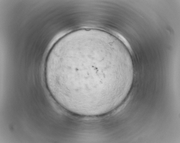 X0000115051146200911231148