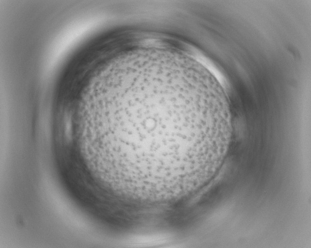 X0000115051150200911231148