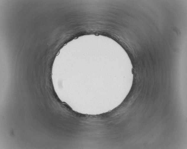 X0000115051153200911231147