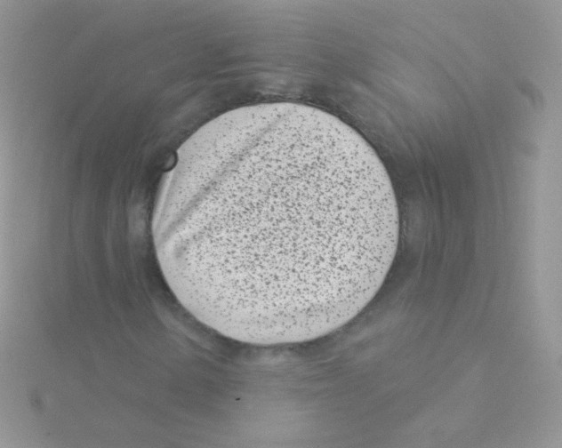 X0000115051154200911231147