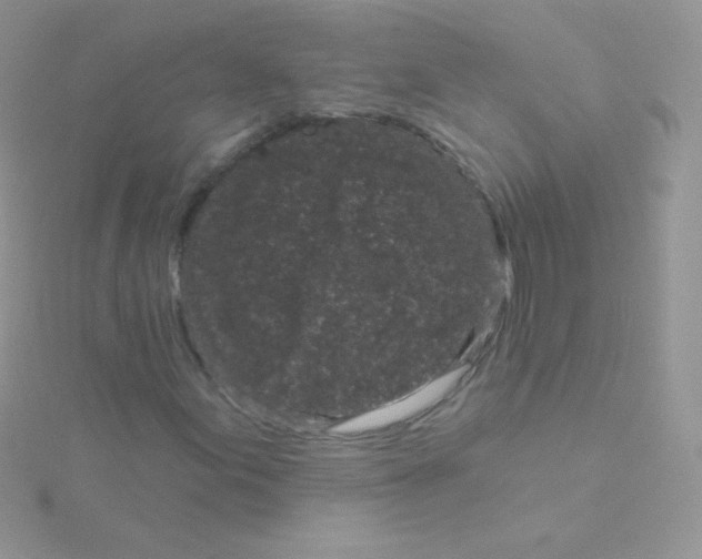 X0000115051155200911231147