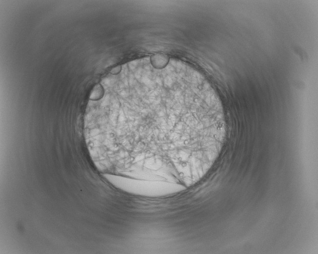 X0000115051156200911231147