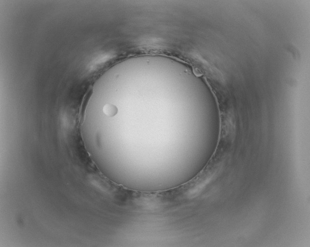 X0000115051157200911231147