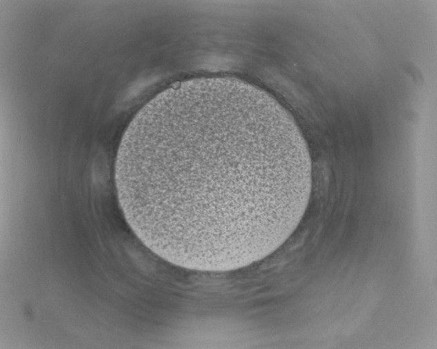 X0000115051158200911231147