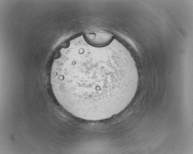 X0000115051160200911231147