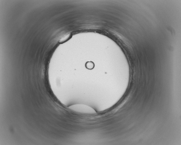 X0000115051161200911231147