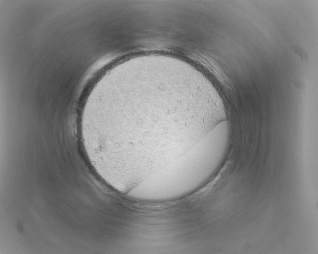 X0000115051164200911231147