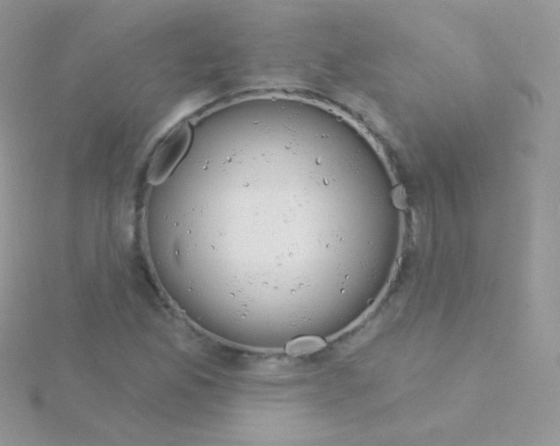 X0000115051165200911231147