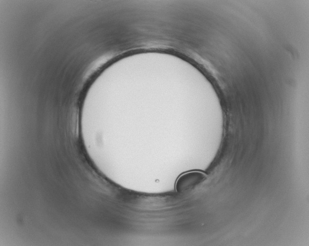 X0000115051171200911231147