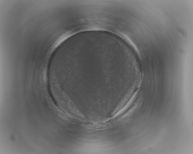 X0000115051173200911231147