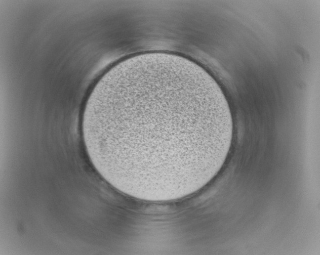 X0000115051174200911231147