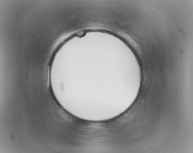 X0000115051175200911231147