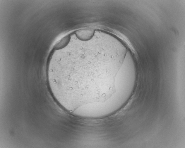 X0000115051176200911231147