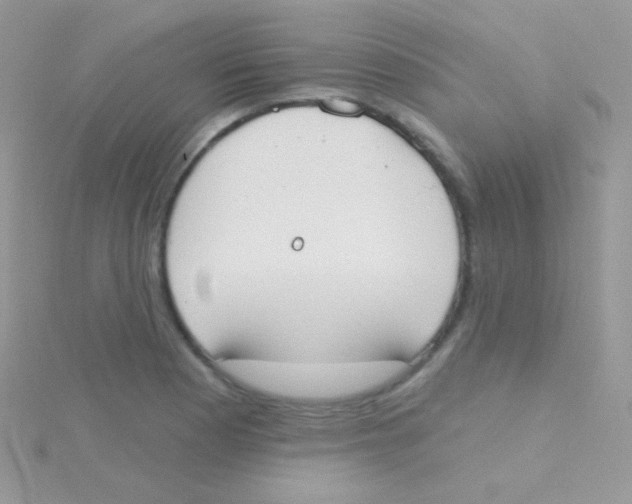 X0000115051177200911231147