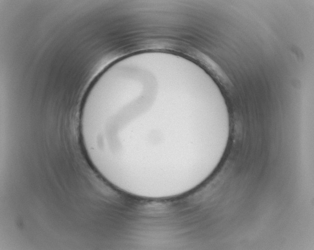 X0000115051178200911231147